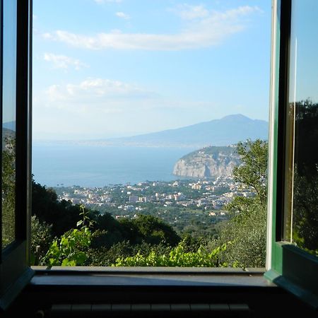 Gli Ulivi Agriturismo Sant'Agnello Zewnętrze zdjęcie