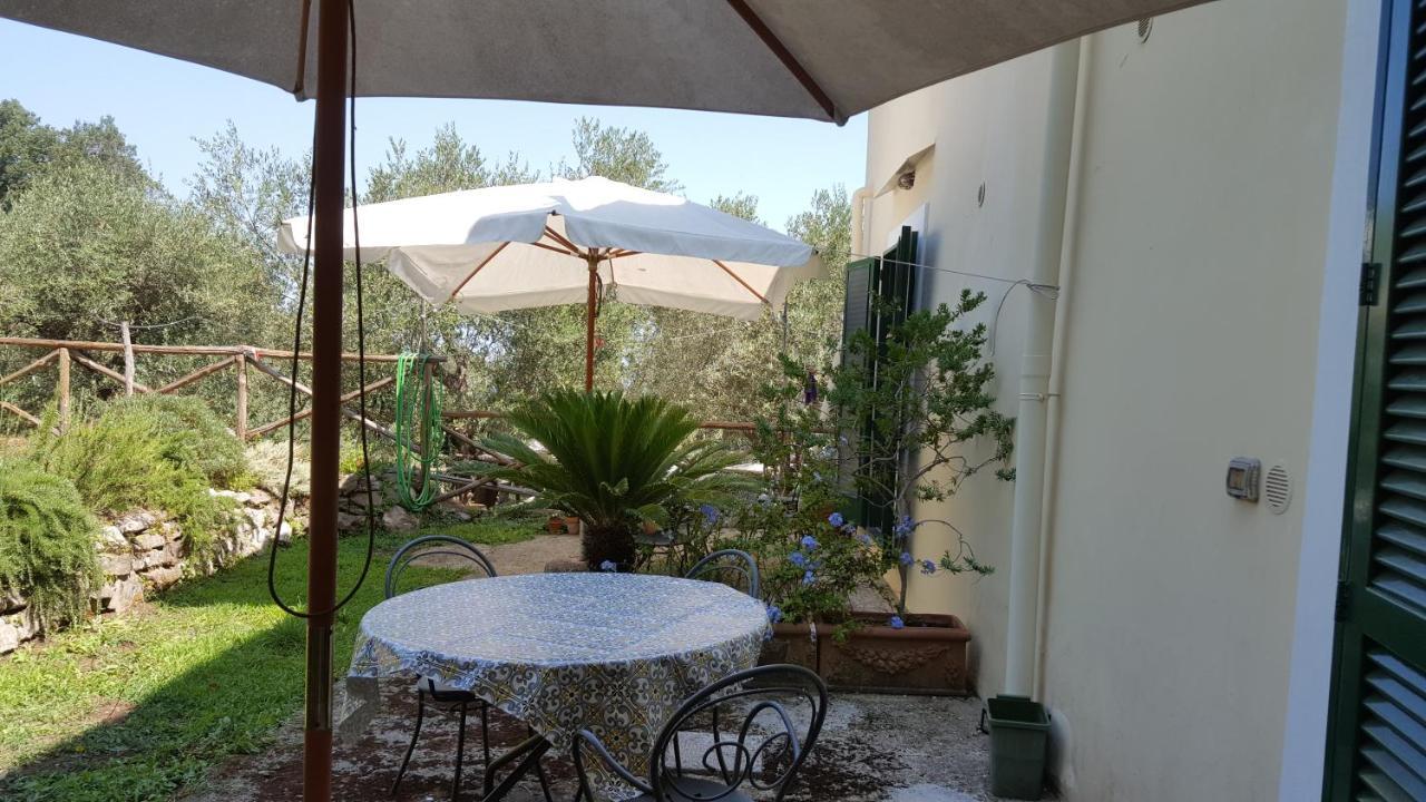 Gli Ulivi Agriturismo Sant'Agnello Zewnętrze zdjęcie