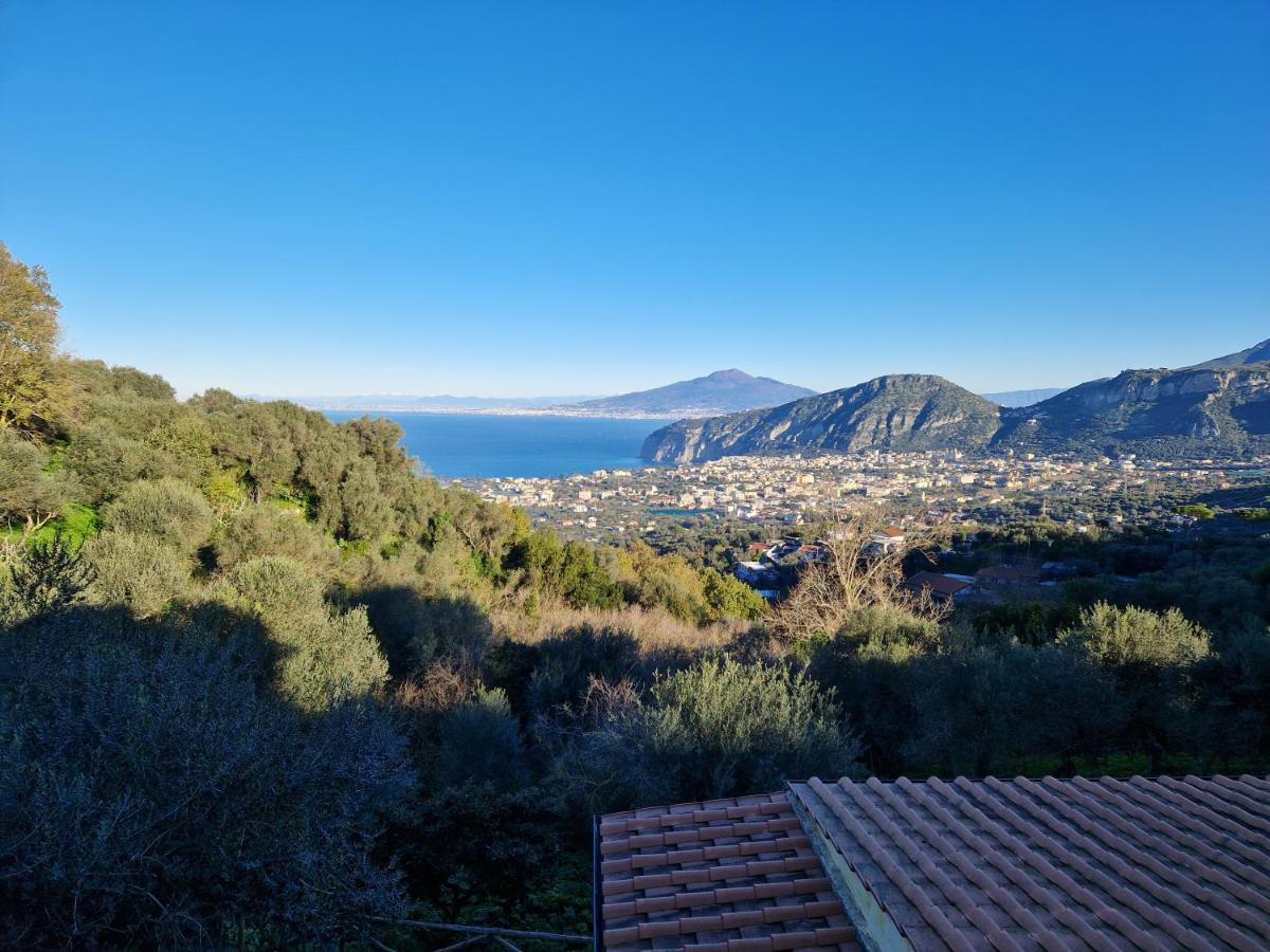 Gli Ulivi Agriturismo Sant'Agnello Zewnętrze zdjęcie