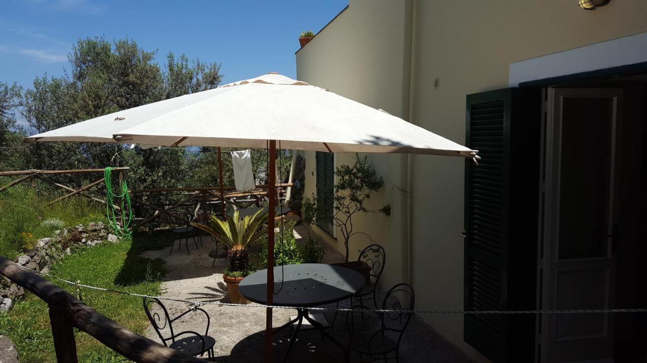 Gli Ulivi Agriturismo Sant'Agnello Zewnętrze zdjęcie