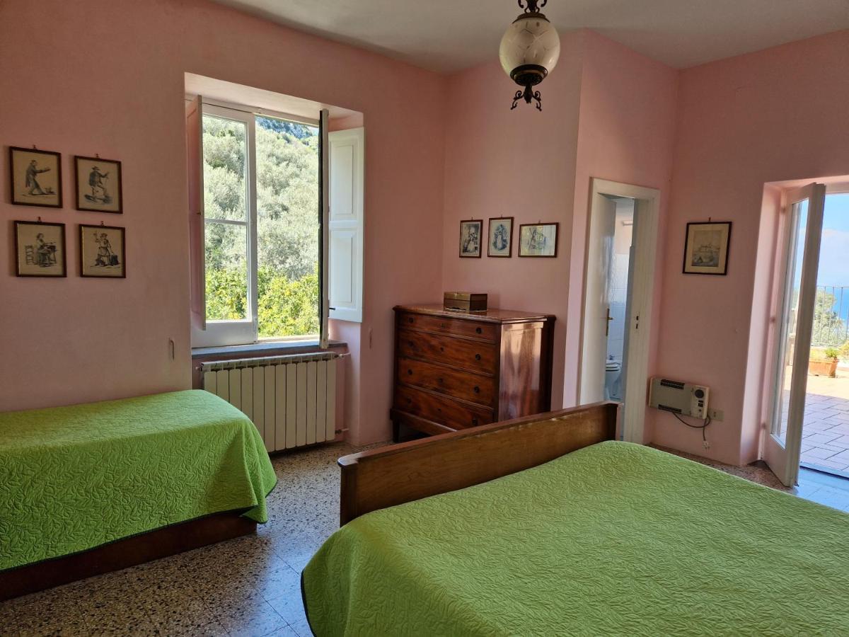 Gli Ulivi Agriturismo Sant'Agnello Zewnętrze zdjęcie