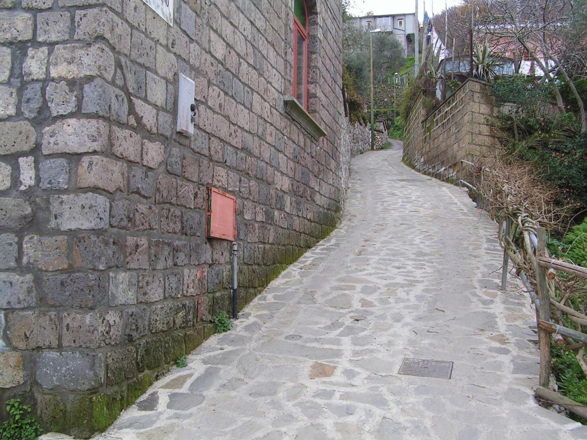 Gli Ulivi Agriturismo Sant'Agnello Zewnętrze zdjęcie