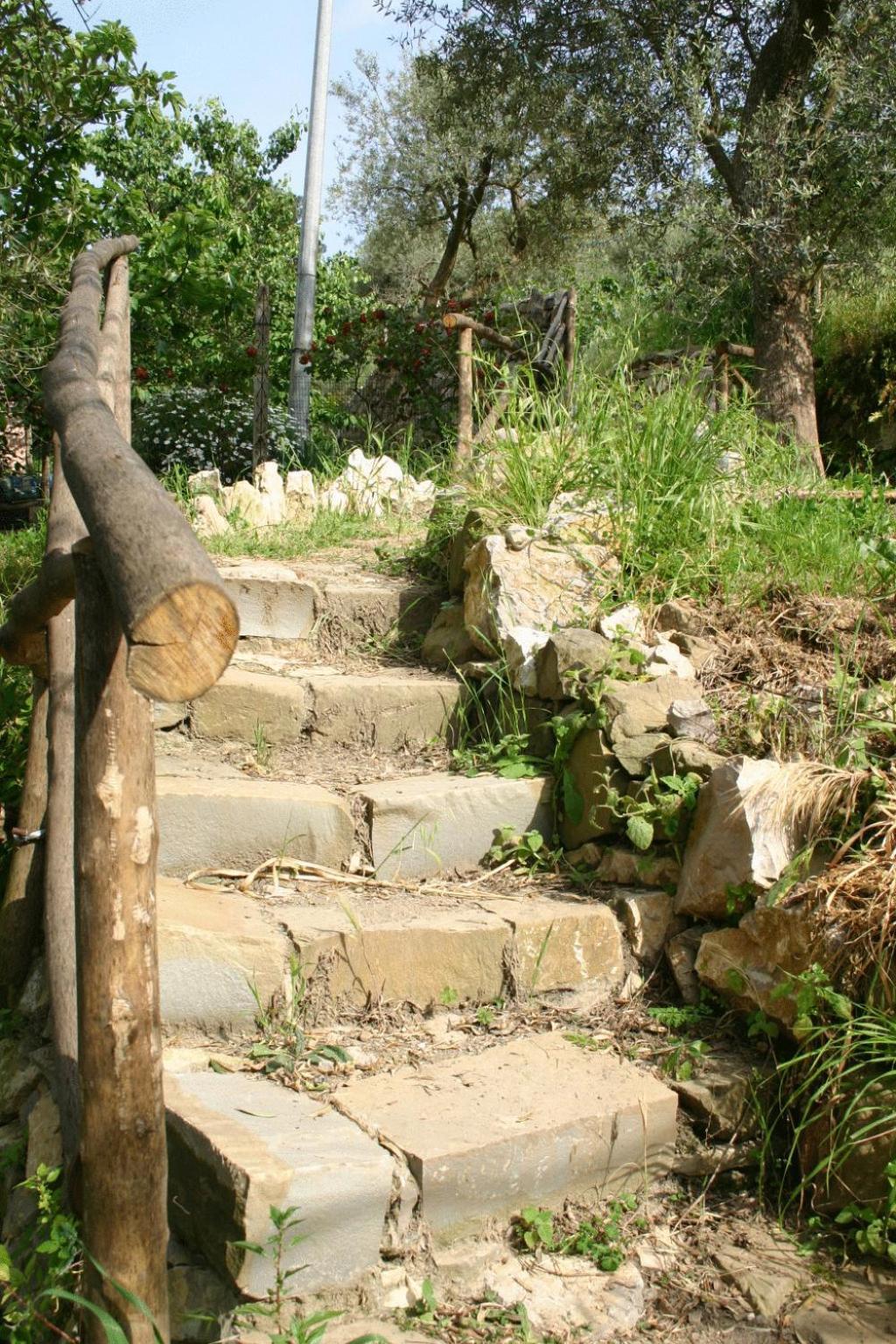 Gli Ulivi Agriturismo Sant'Agnello Zewnętrze zdjęcie