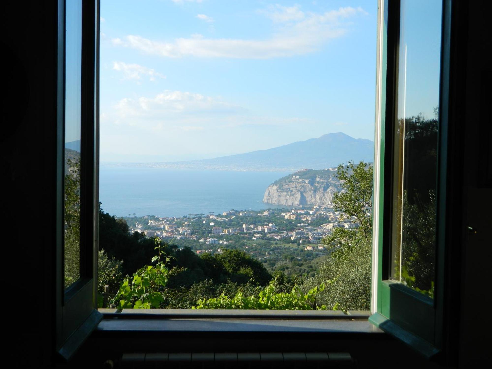 Gli Ulivi Agriturismo Sant'Agnello Zewnętrze zdjęcie