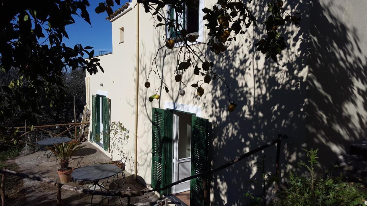 Gli Ulivi Agriturismo Sant'Agnello Zewnętrze zdjęcie