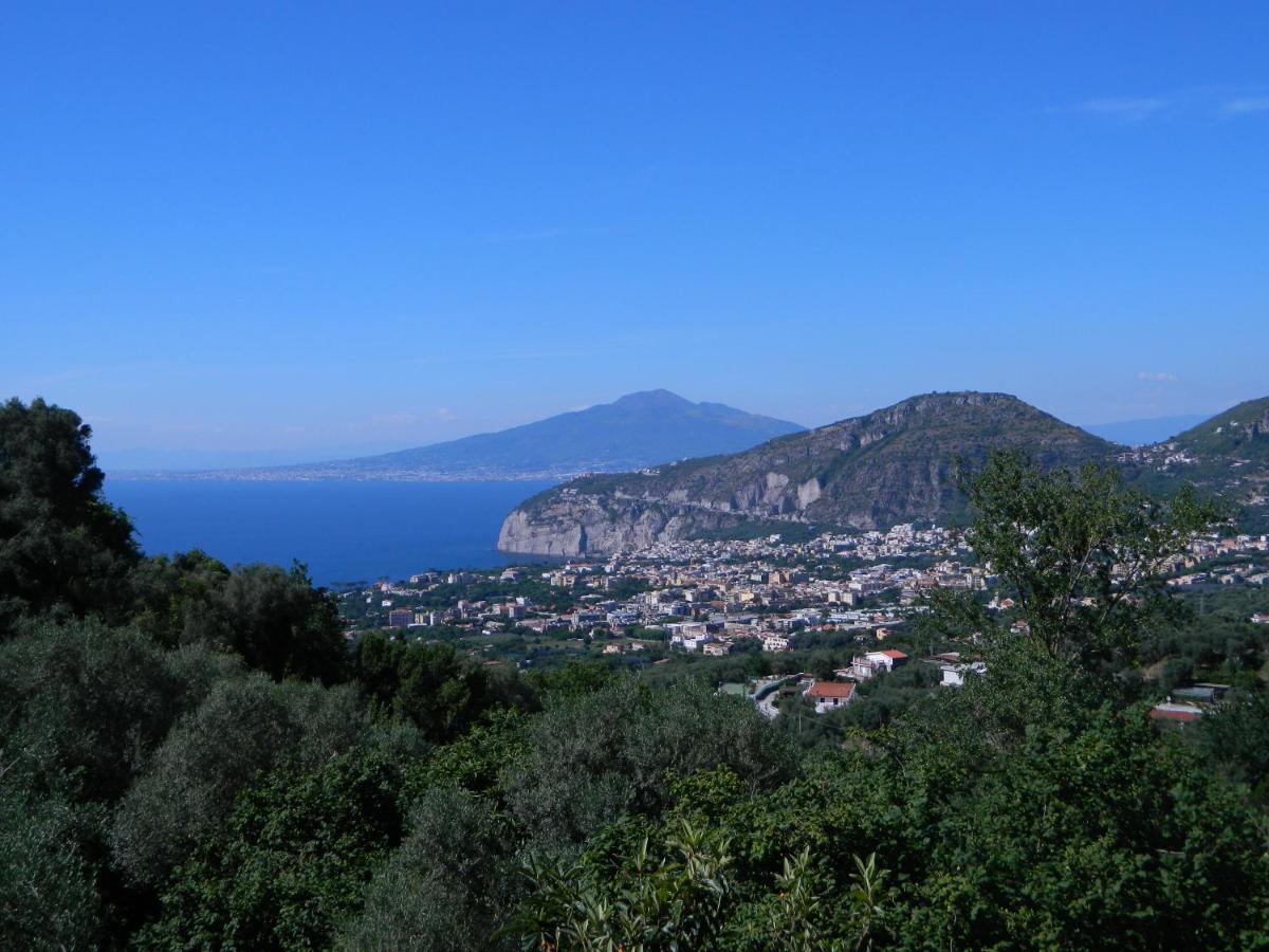 Gli Ulivi Agriturismo Sant'Agnello Zewnętrze zdjęcie
